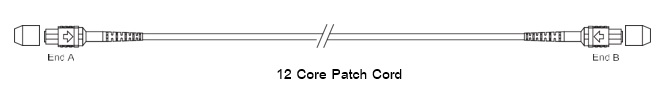 MTP Patch Cord